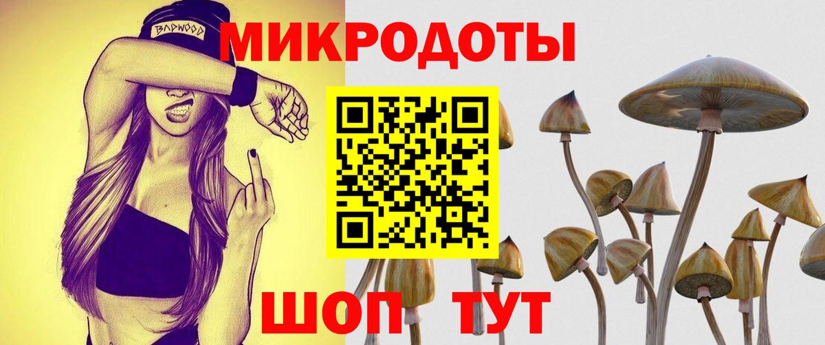 Галлюциногенные грибы мухоморы Рославль