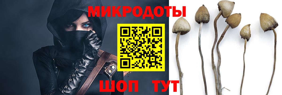 Рославль  Галлюциногенные грибы Magic Shrooms  Вход с VPN  Псилоцибиновые грибы Cubensis 