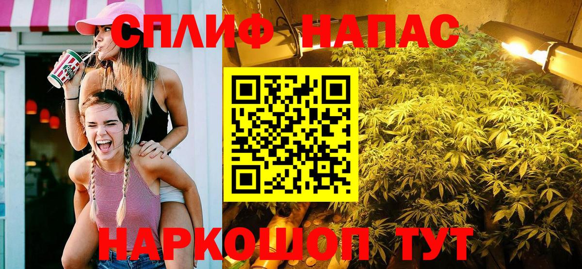 Бошки Шишки план  Вход с VPN  Рославль  Каннабис марихуана 